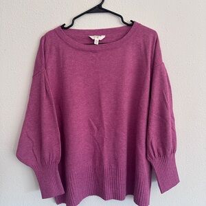 Terra & Sky Women's Plum Crew Neck Sweater